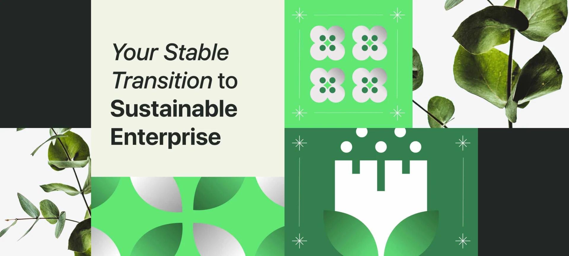 Your Stable Transition to Sustainable Enterprise